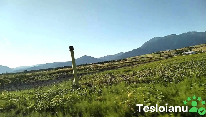 Tohanu Nou -  Adresă - Romania