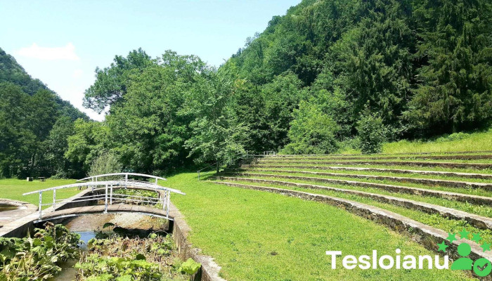 Tomesti Aproape De Mine - Tomești