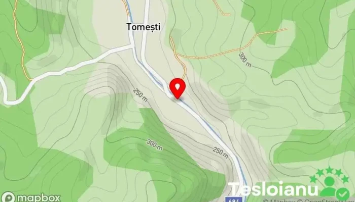 hartă a Tomești  în Tomești