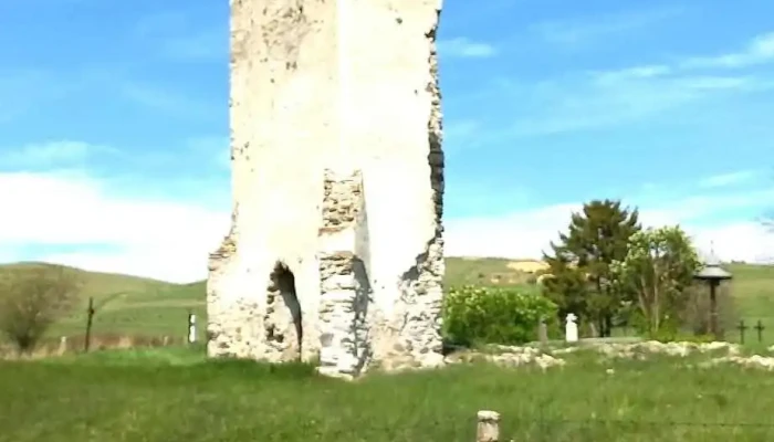 Tomesti Reduceri - Tomești