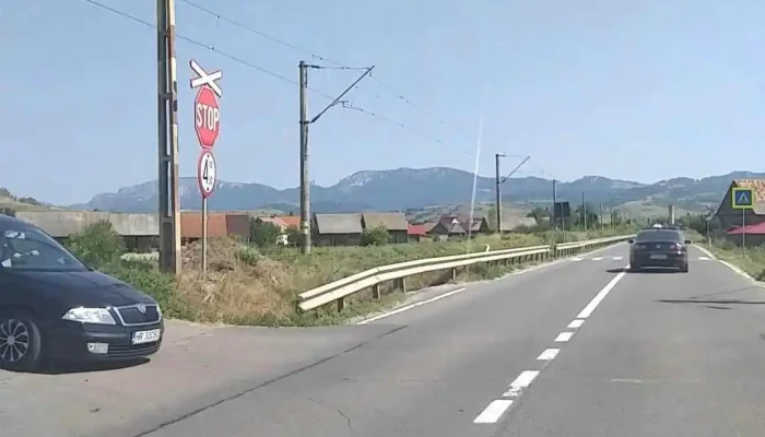 Tomesti Videoclipuri - Tomești