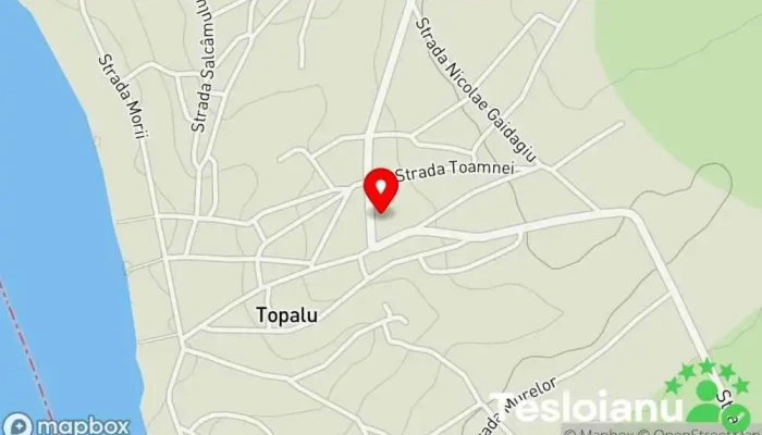 hartă a Topalu  în Topalu
