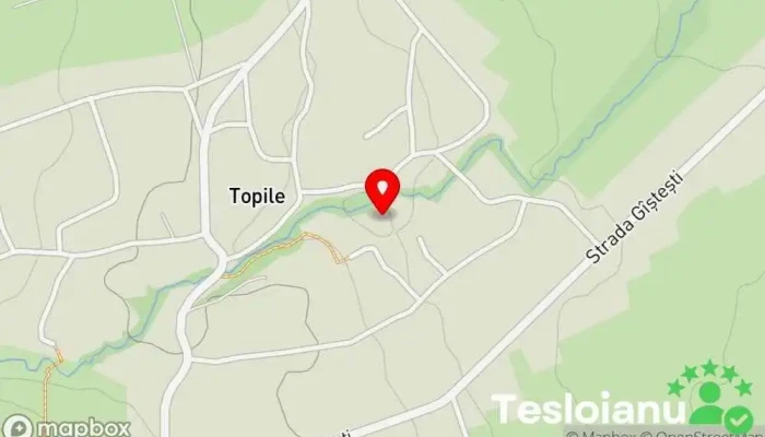 hartă a Topile  în Topile
