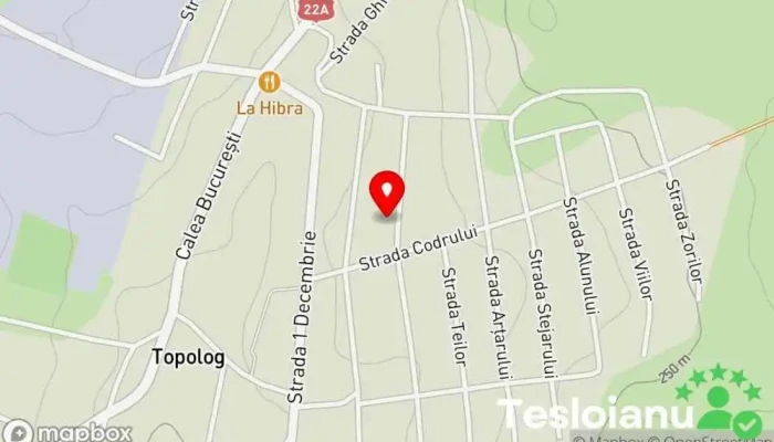 hartă a Topolog  în Topolog