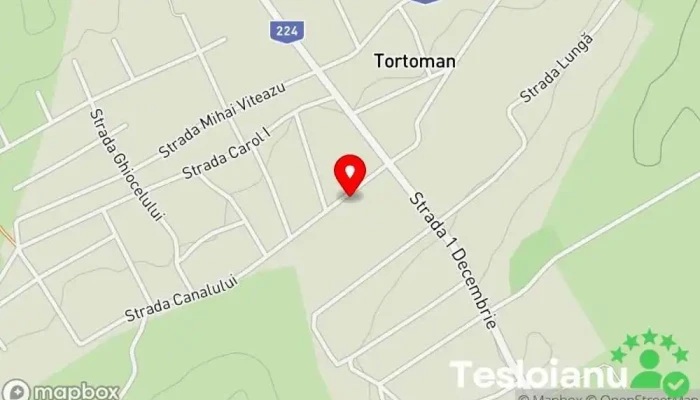 Tortoman - Tortoman