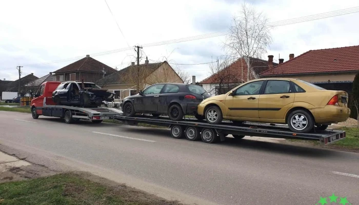 Tractări Auto Pâncota - Arad - Pâncota 315600