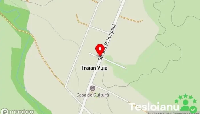 Traian Vuia - Traian Vuia