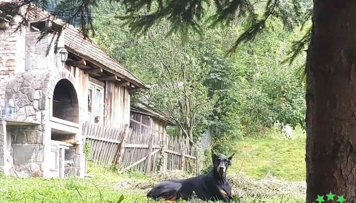Traisteni Fotografii - Trăisteni