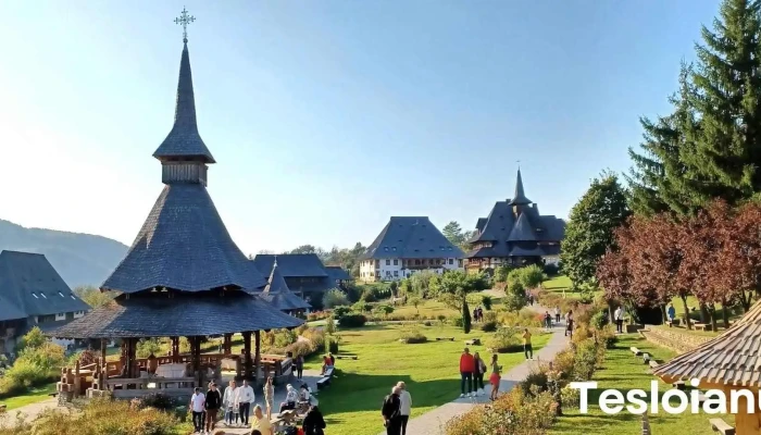 Traseu Manastirea Barsana Site Web - Bârsana