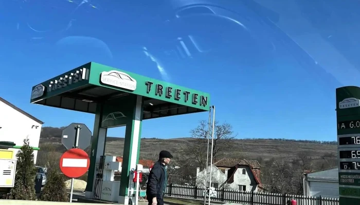 Treeten Service Station Srl - România