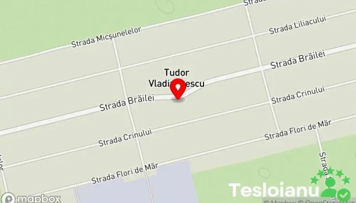 hartă a Tudor Vladimirescu  în Tudor Vladimirescu