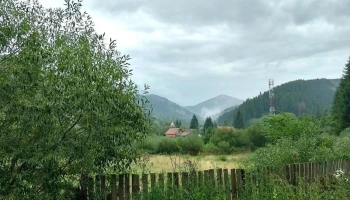 Tulghies Comentarii - Tulghieș