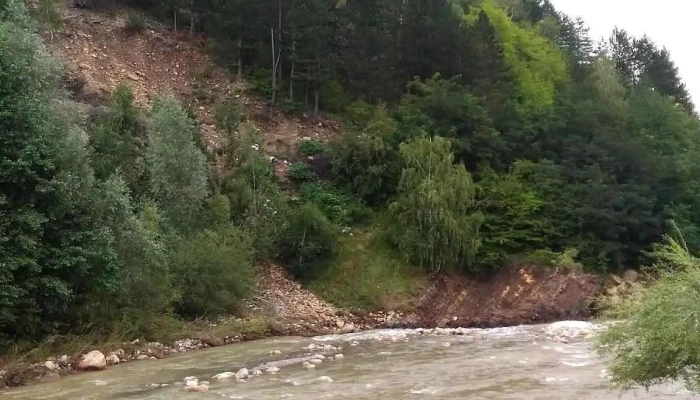 Tulnici -  Reduceri - Tulnici