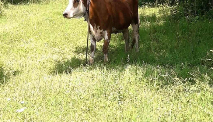 Turburea -  Cum Să Ajungi Acolo - Turburea