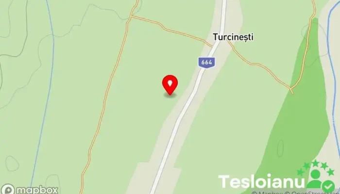 hartă a Turcineşti  în Turcineşti