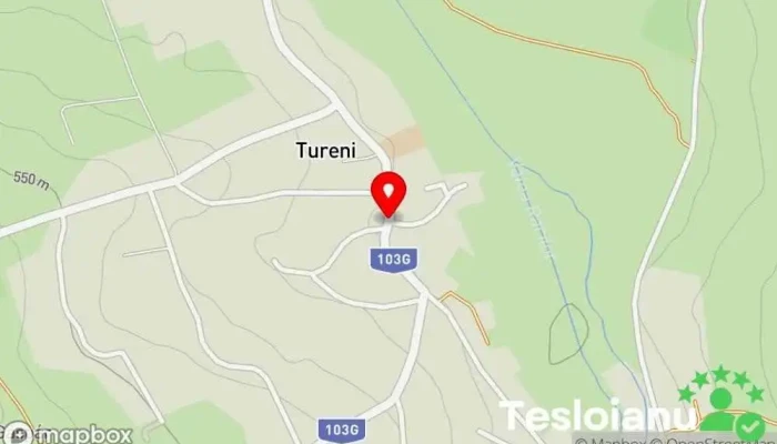 hartă a Tureni  în Tureni