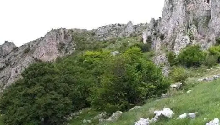 Tureni -  Program - Tureni