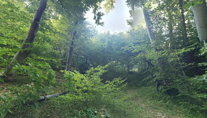 Tureni -  Street View Si 360deg - Tureni