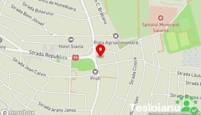 hartă a Turnul Ciunt Reper istoric în Salonta