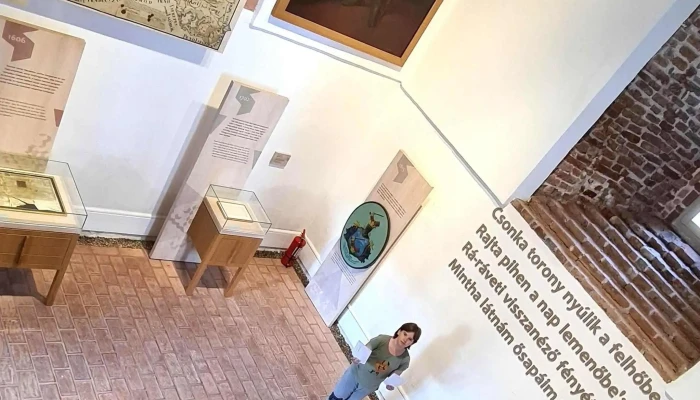 Turnul Ciunt -  Site Web - Salonta