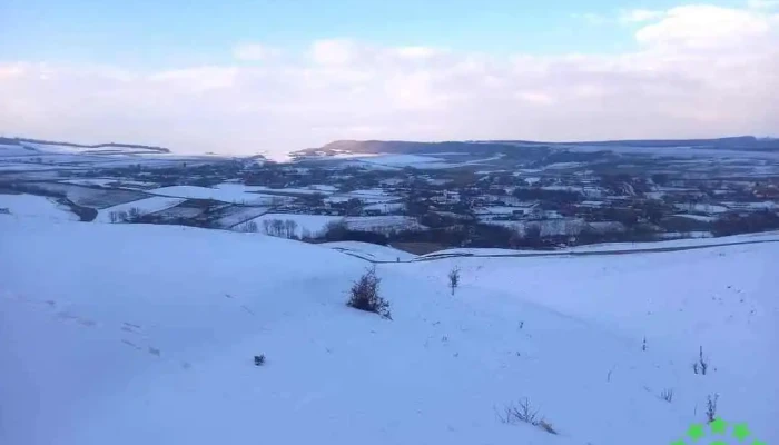 Tusinu Scor - Tuşinu