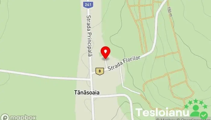 Tănasoaia - Tănasoaia