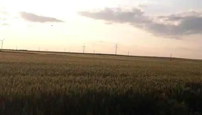 Tărguşor - Tărguşor