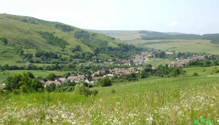 Tătârlaua - Tătârlaua