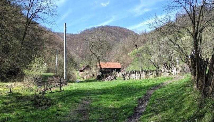 Tătăuş - Romania