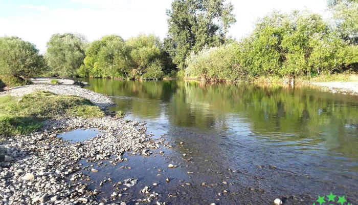 Tăut - Tăut