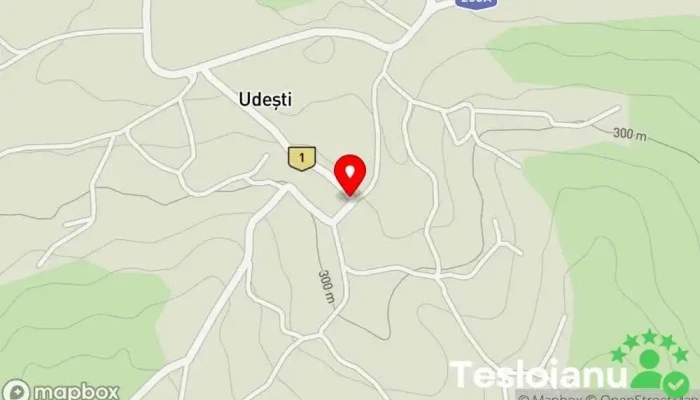hartă a Udești  în Udești