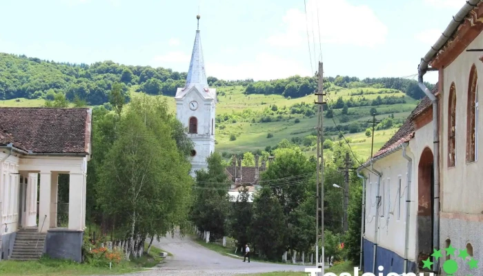 Uila -  Unde - Uila