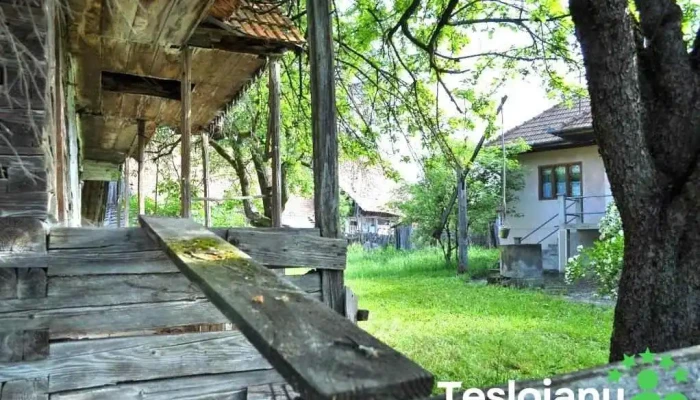 Ulies Telefon - Ulieș