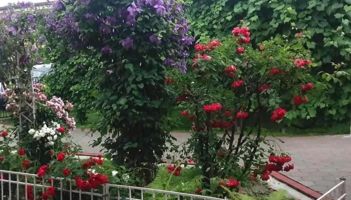 Unirea -  Instagram - Romania