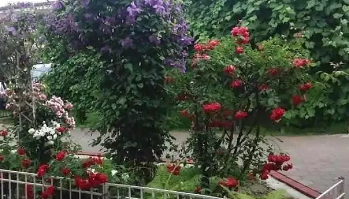 Unirea - Romania