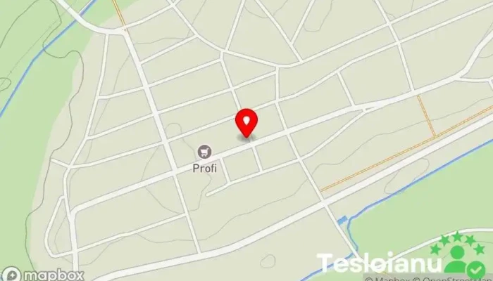 hartă a Uniunea Bulgara din Banat Romania - Filiala Vinga Sediul social în Vinga