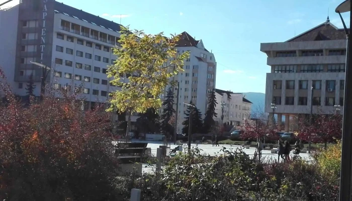Universitatea Sapientia -  Scor - Miercurea Ciuc