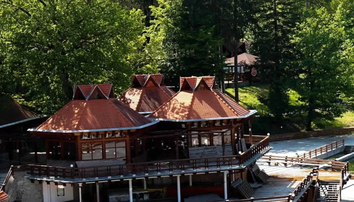 Ursu -  Instagram - Sovata