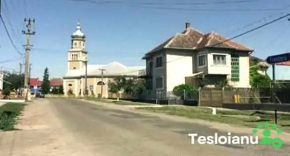 Urziceni -  Scor - Urziceni