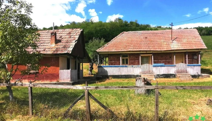 Vaideiu -  Site Web - Vaideiu