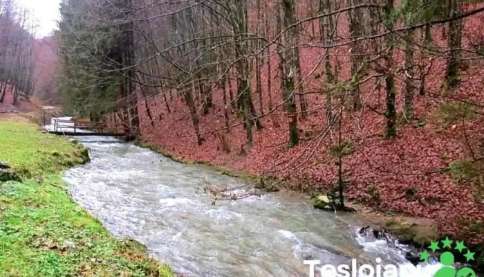 Valea Bratcutei De La Vizitatori - Bratca