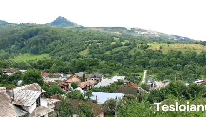 Valea Cetățuia - Valea Cetățuia