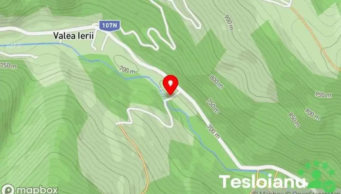 hartă a Valea Ierii  în Valea Ierii