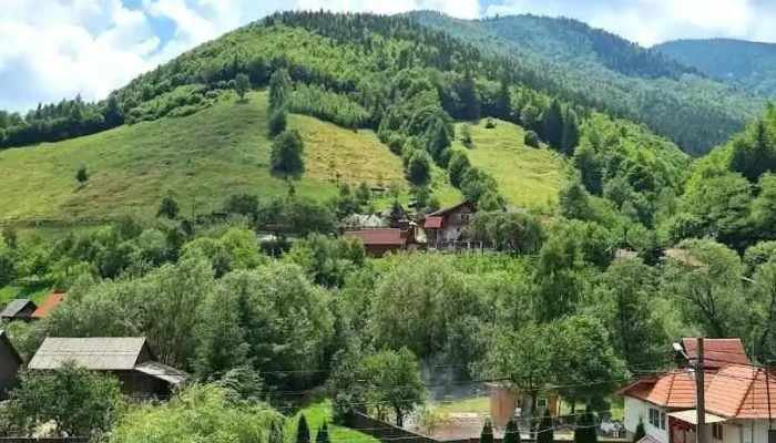 Valea Ierii - Valea Ierii