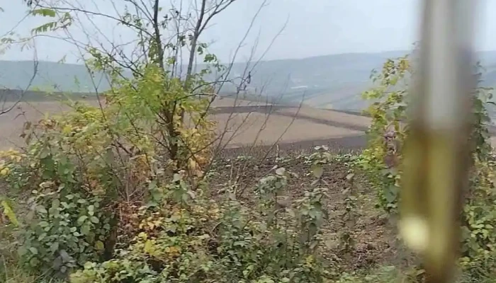 Valea Larga Videoclipuri - Valea Largă