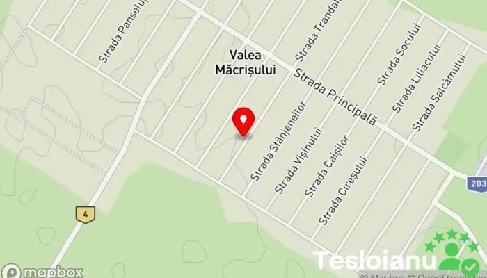 hartă a Valea Măcrişului  în Valea Măcrişului