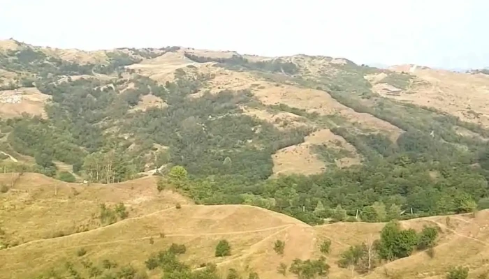 Valea Salciei -  Videoclipuri - Valea Salciei