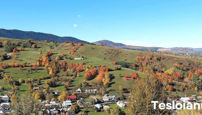 Valea Seaca Munte - Valea Seacă