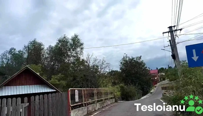 Valea Seaca Videoclipuri - Valea Seacă