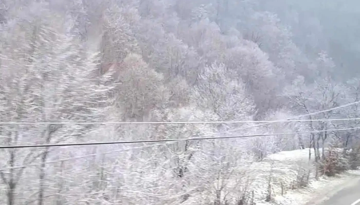 Valea Viseului Maramures Videoclipuri - Valea Vișeului